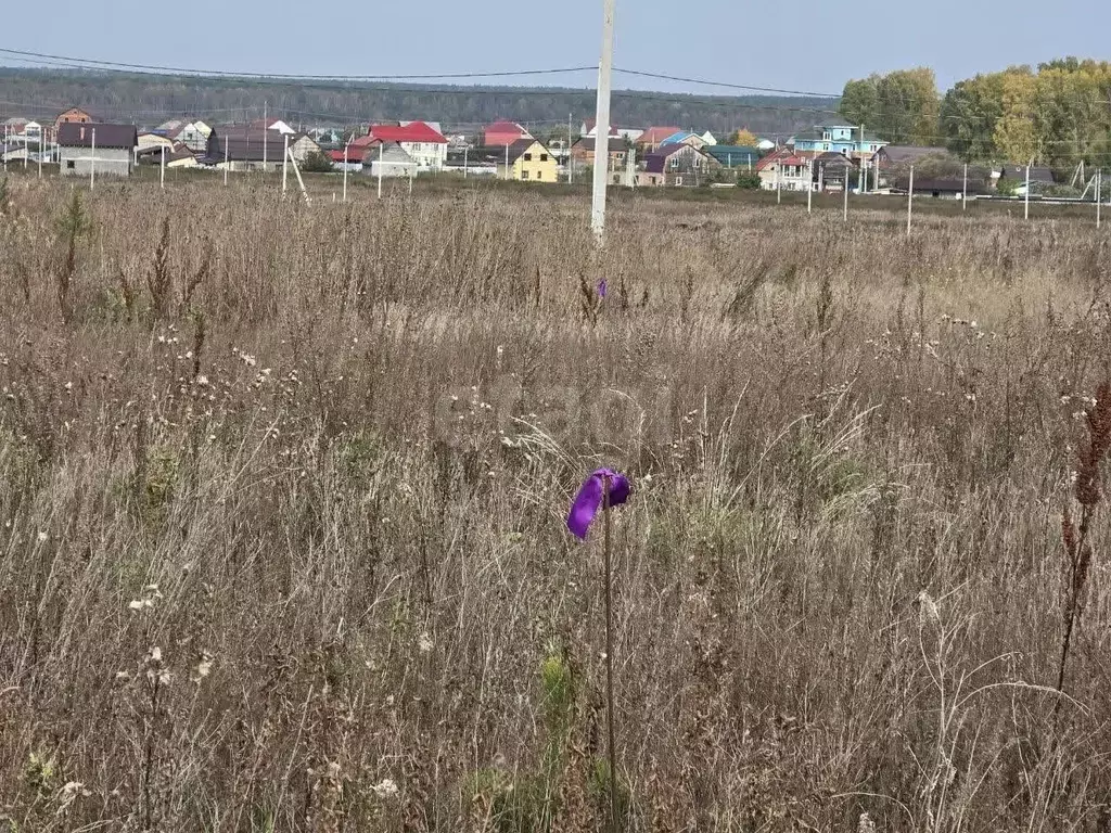 Участок в Тюменская область, Тюменский муниципальный округ ... - Фото 1