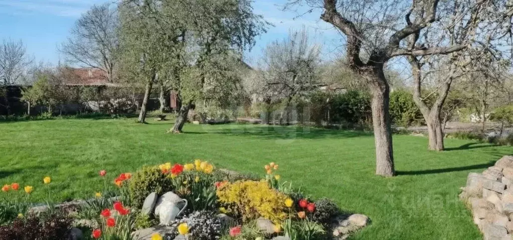 Участок в Калининградская область, Калининград Победа садовое ... - Фото 1