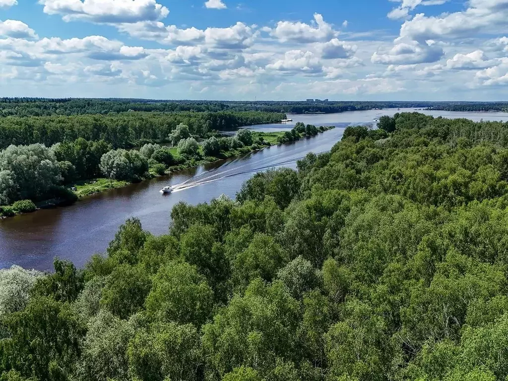 Участок в Московская область, Мытищи городской округ, д. Протасово, ... - Фото 0
