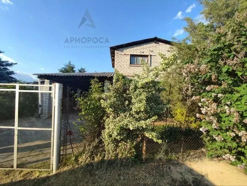 Дом в Волгоградская область, Дубовский район, Пичужинское с/пос, Сталь ... - Фото 1