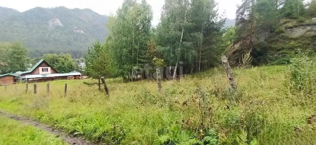 Участок в Алтай, Майминский район, с. Усть-Муны ул. Кошурникова (15.0 ... - Фото 0