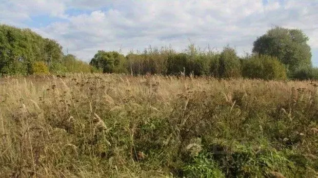 Участок в Московская область, Коломна городской округ, д. Новоселки  ... - Фото 1