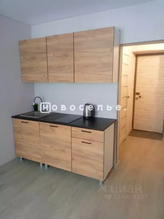 Студия Рязанская область, Рязань ул. Гоголя, 36 (19.0 м) - Фото 0