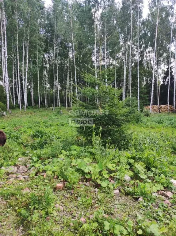 Участок в Московская область, Солнечногорск пл. Советская (7.5 сот.) - Фото 0