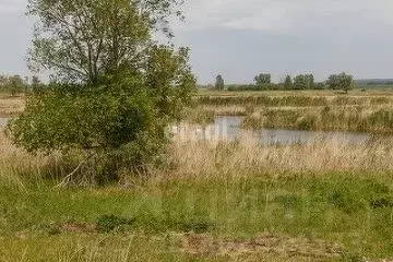 Участок в Тюменская область, Ишимский район, с. Гагарино ул. Зеленая ... - Фото 1