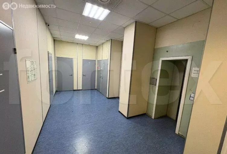 Офис (1162 м) - Фото 2
