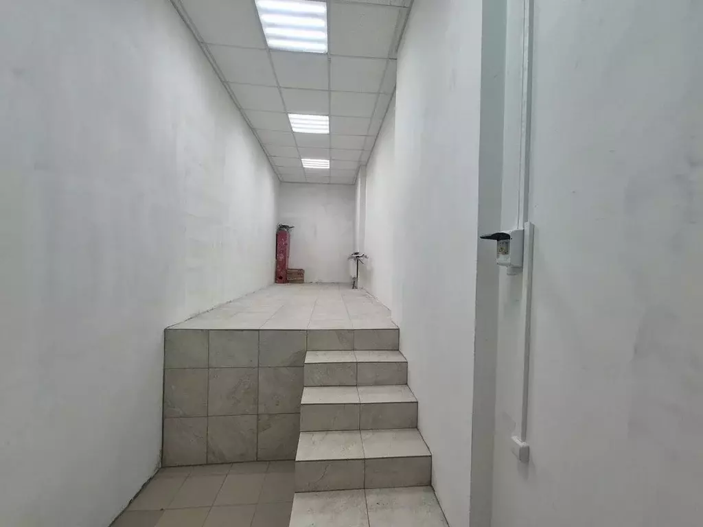 Помещение свободного назначения в Московская область, Пушкино ул. ... - Фото 1