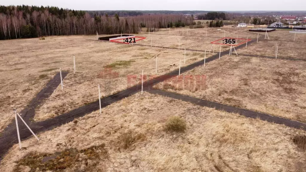 Участок в Московская область, Богородский городской округ, д. Черново  ... - Фото 0