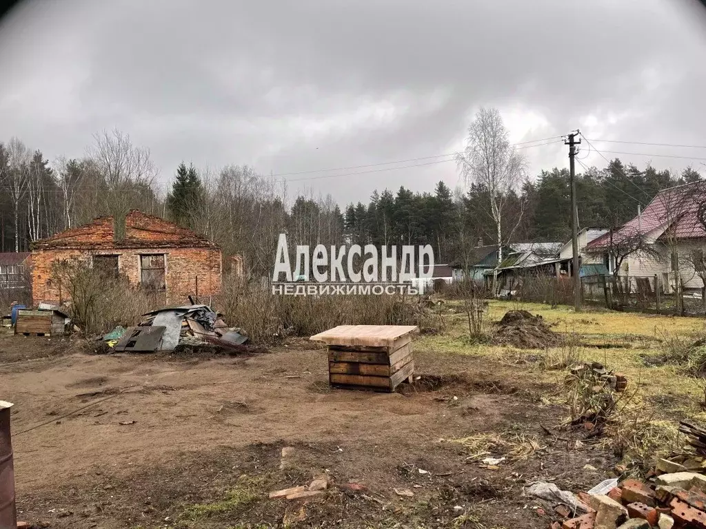 Участок в Ленинградская область, Всеволожский район, Колтушское ... - Фото 1