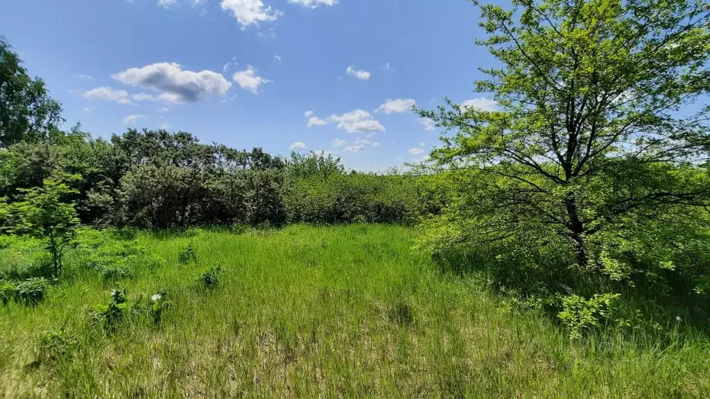 Участок в Нижегородская область, Дальнеконстантиновский муниципальный ... - Фото 1