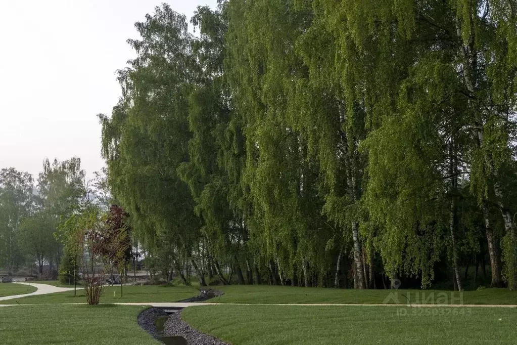 Участок в Московская область, Красногорск городской округ, д. ... - Фото 2