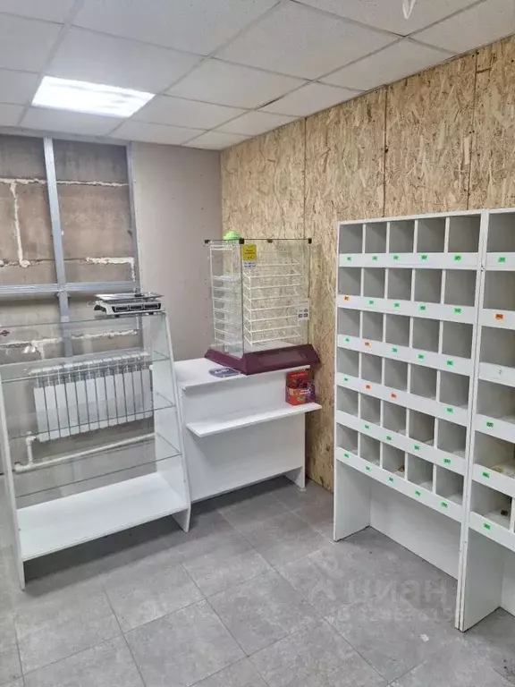 Торговая площадь в Оренбургская область, Оренбург Одесская ул., 9/26 ... - Фото 1