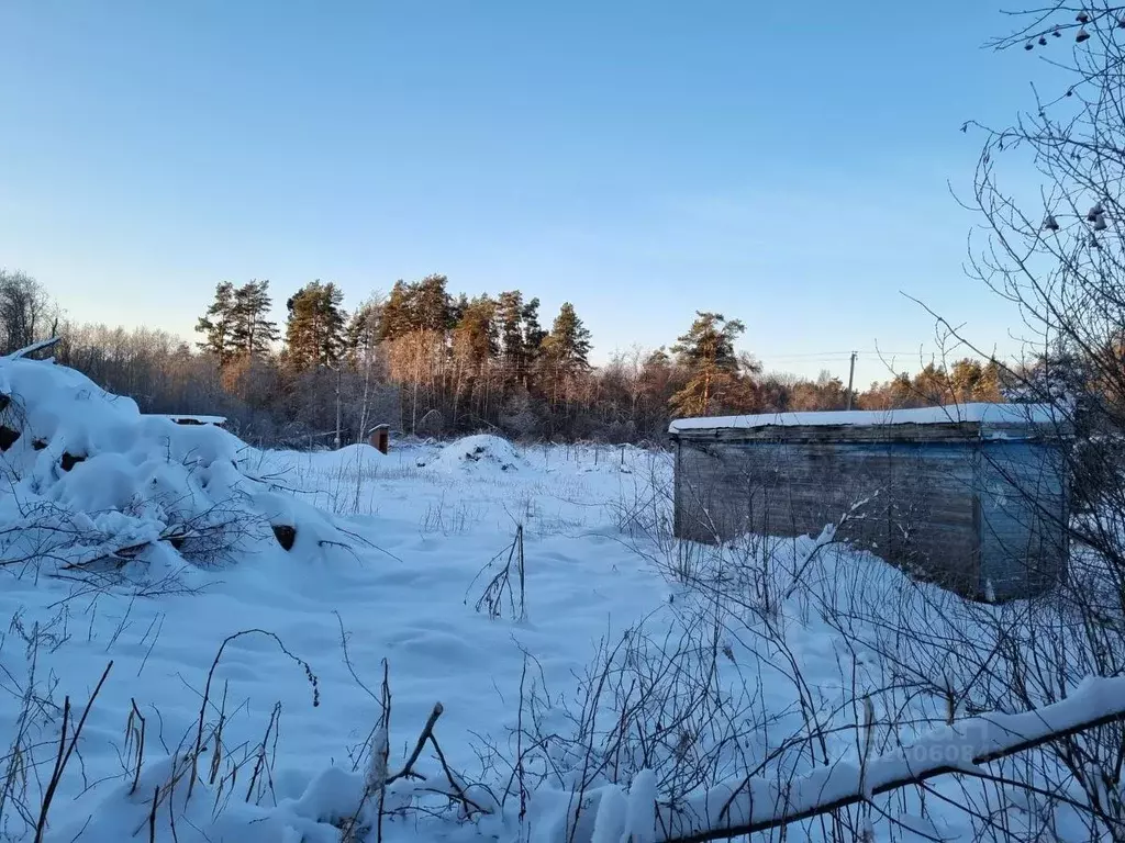 Участок в Ленинградская область, Приозерский район, Ларионовское ... - Фото 2