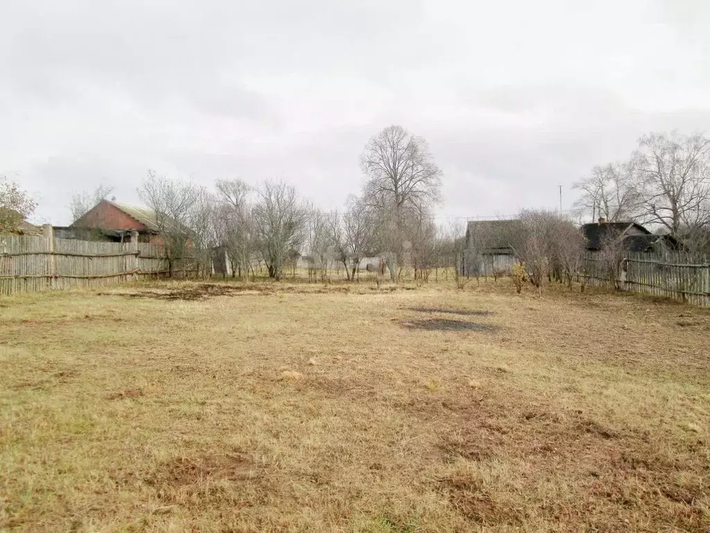 Участок в Ярославская область, Борисоглебский муниципальный округ, д. ... - Фото 1