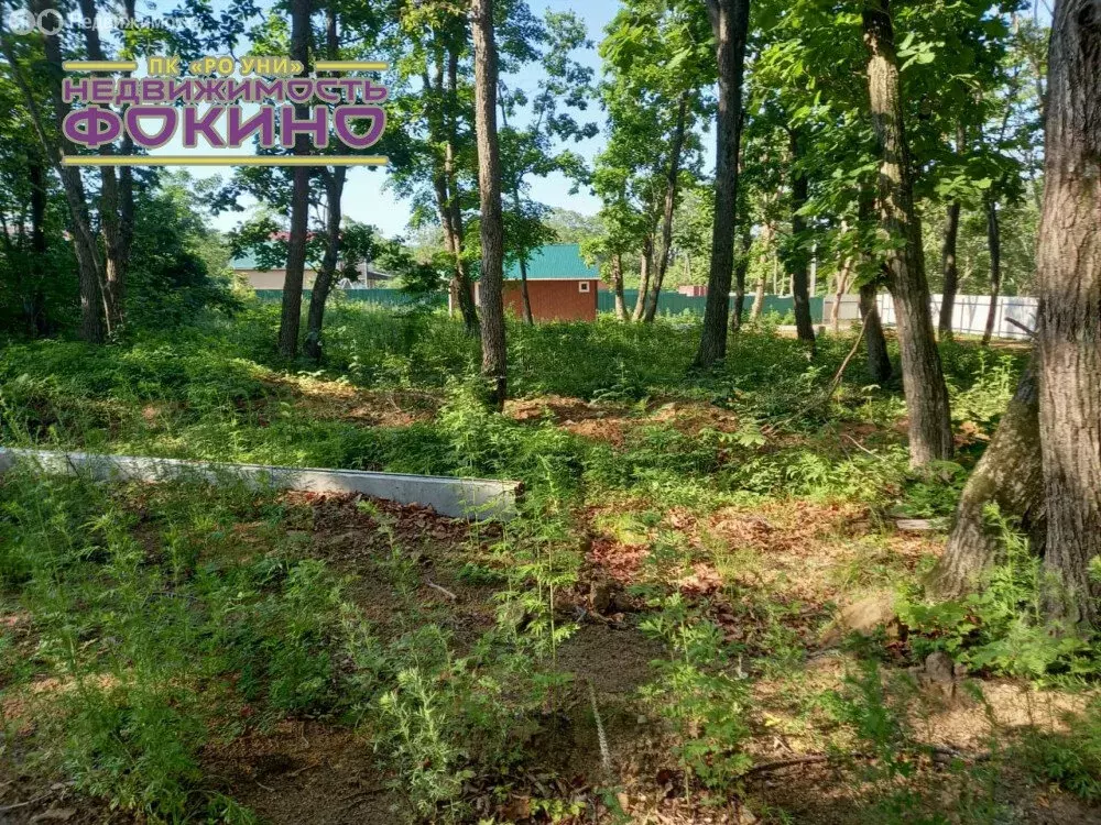 Участок в Фокино, улица Руднева (15 м) - Фото 2