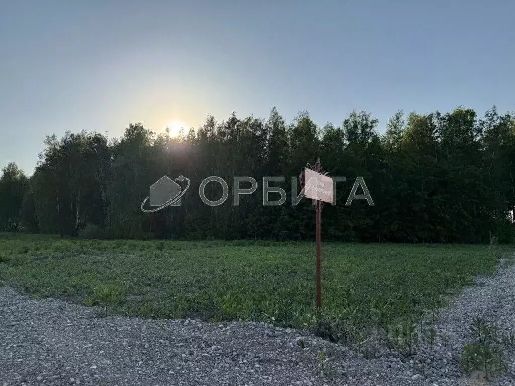 Участок в Свердловская область, Тугулымский муниципальный округ, с. ... - Фото 0