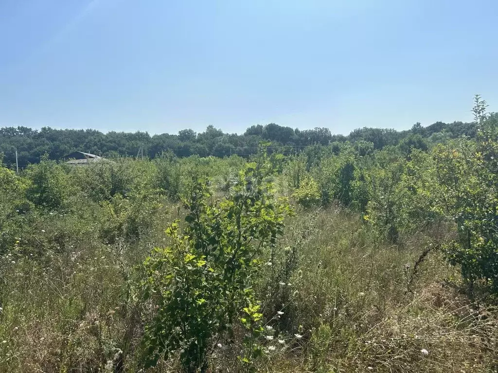 Участок в Краснодарский край, Новороссийск городской округ, ... - Фото 0