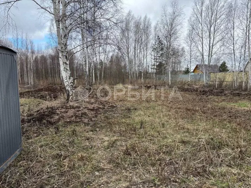 Участок в Тюменская область, Нижнетавдинский район, Строитель ТСН ... - Фото 1