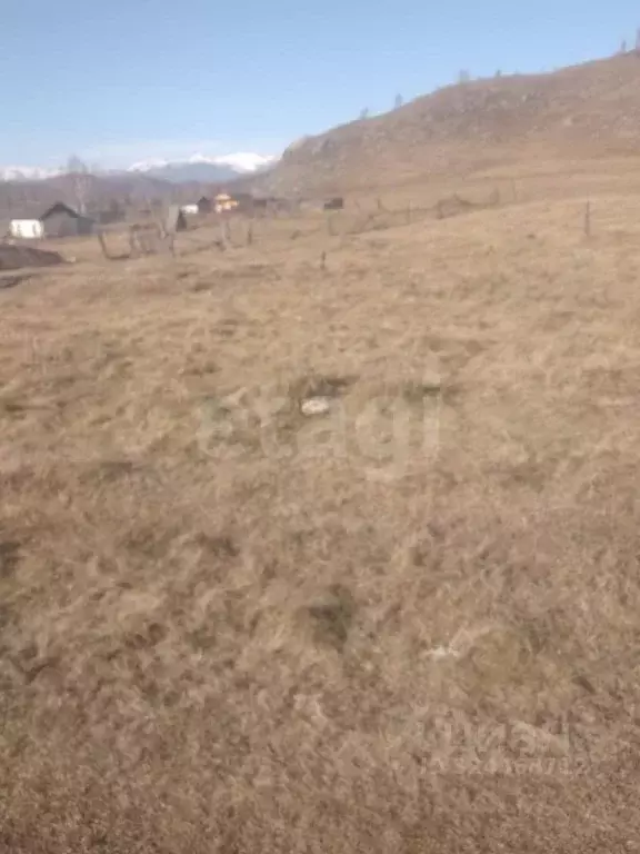 Участок в Алтай, Усть-Коксинский район, пос. Ак-Коба ул. Нагорная ... - Фото 1