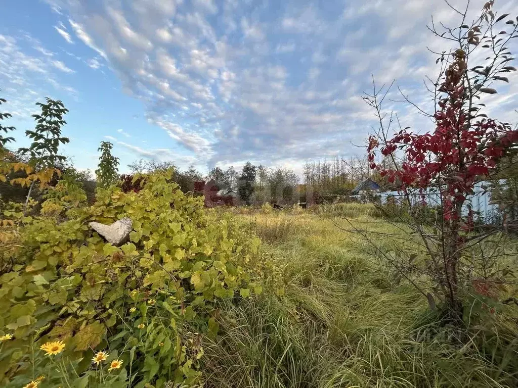 Участок в Воронежская область, Воронеж Железнодорожник-1 ЮВЖД СНТ, ул. ... - Фото 2