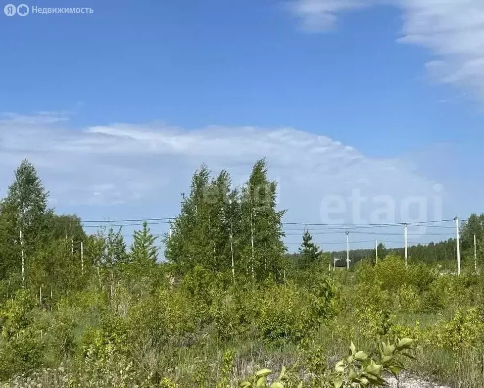 Участок в Плодопитомник, Васильковая улица (6.8 м) - Фото 1