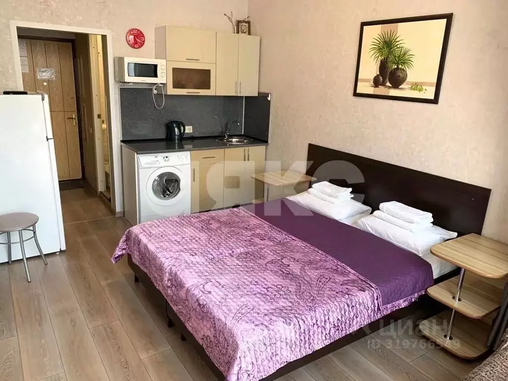 Студия Краснодарский край, Сочи Курортный просп., 75к1 (20.4 м) - Фото 1
