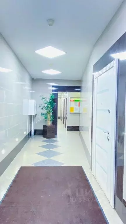 1-к кв. Санкт-Петербург просп. Луначарского, 15к1 (52.9 м) - Фото 2