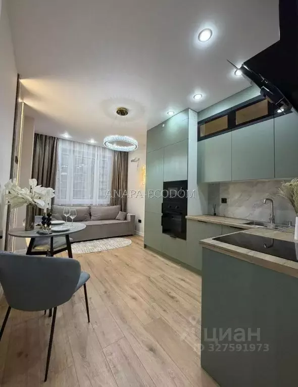 1-к кв. Краснодарский край, Краснодар ул. Имени Героя Георгия ... - Фото 1