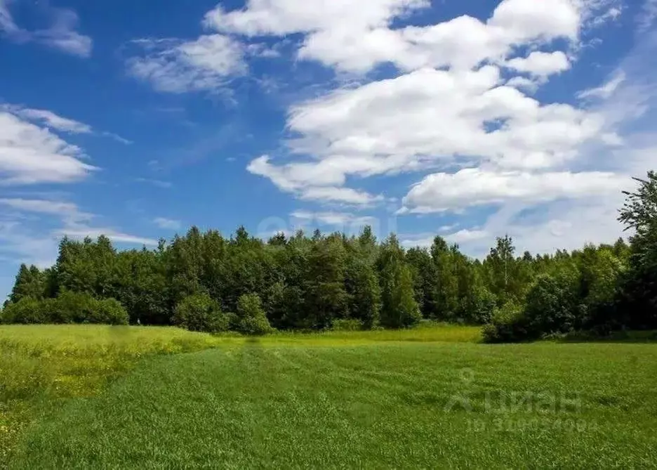 Участок в Ярославская область, Рыбинский муниципальный округ, д. ... - Фото 1