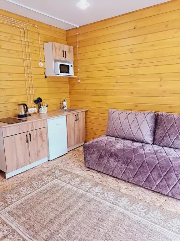 Дом в Алтай, Чемальский район, с. Чемал Восточная ул., 3 (30 м) - Фото 1