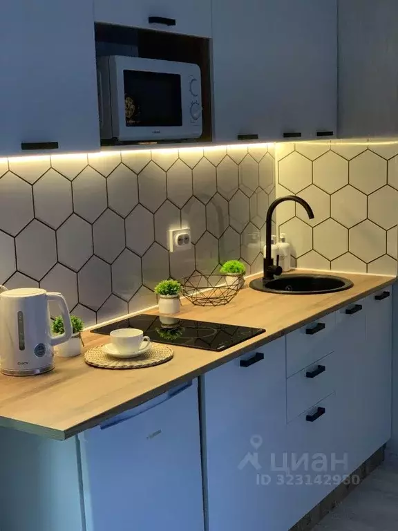 Студия Челябинская область, Челябинск ул. Маршала Чуйкова, 30 (24.0 м) - Фото 1