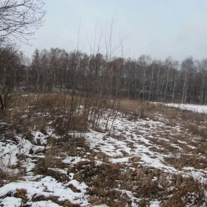 Участок в Московская область, Коломна городской округ, с. Редькино  ... - Фото 0