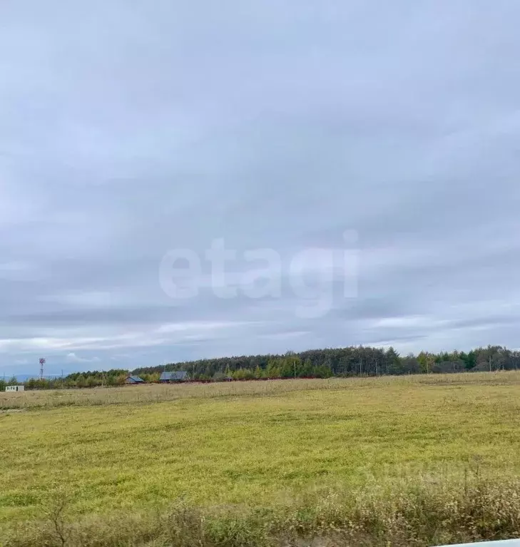 Участок в Сахалинская область, Анивский городской округ, с. Мицулевка  ... - Фото 1
