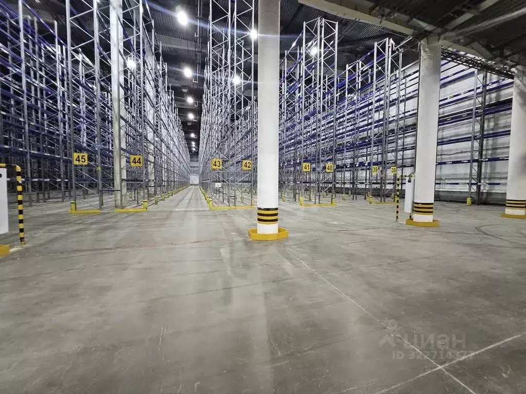 Склад в Новосибирская область, Обь тракт Омский, 1А (6897 м) - Фото 2