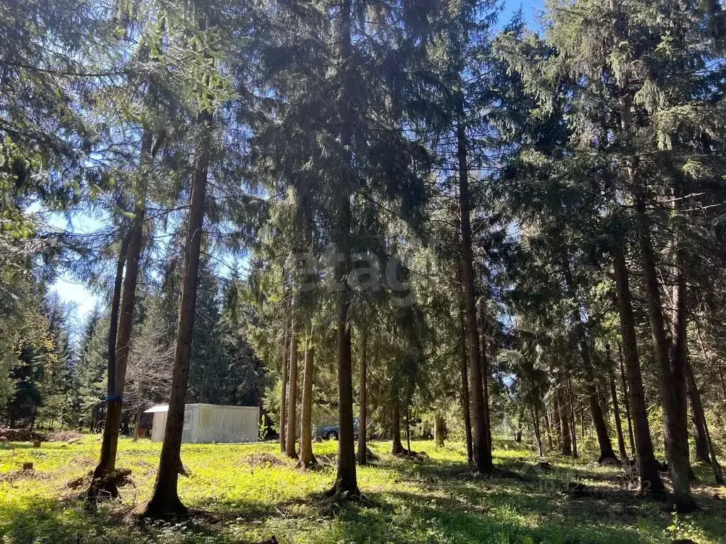 Участок в Московская область, Дмитровский муниципальный округ, д. ... - Фото 1