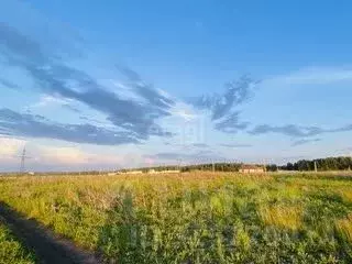 Участок в Липецкая область, Липецкий муниципальный округ, с. Ленино  ... - Фото 0