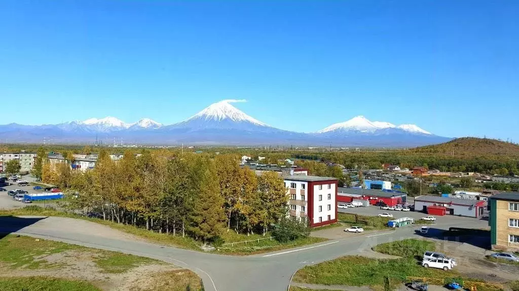1-к кв. Камчатский край, Елизово Пограничный мкр, ул. Лесная, 14 (42.0 ... - Фото 1