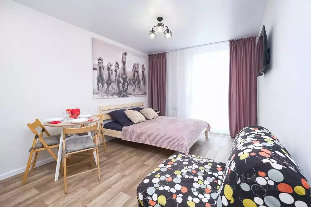 Студия Новосибирская область, Новосибирск ул. Забалуева, 102 (25.0 м) - Фото 1