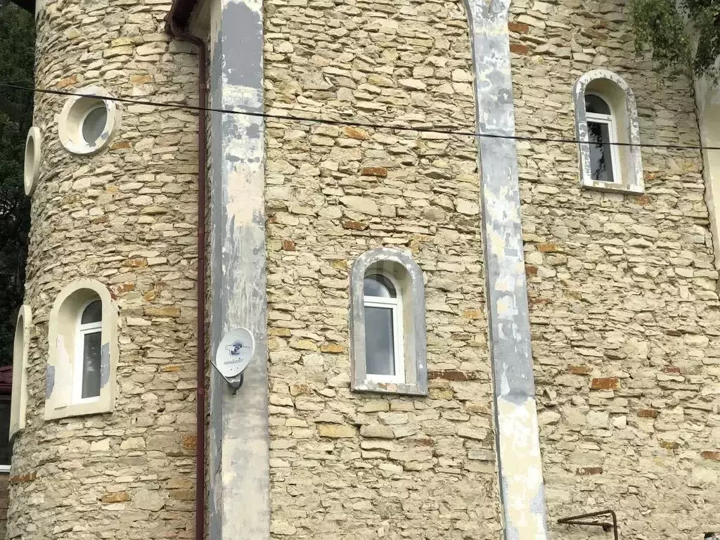 Дом в Тамбовская область, Тамбовский муниципальный округ, с. Большая ... - Фото 1