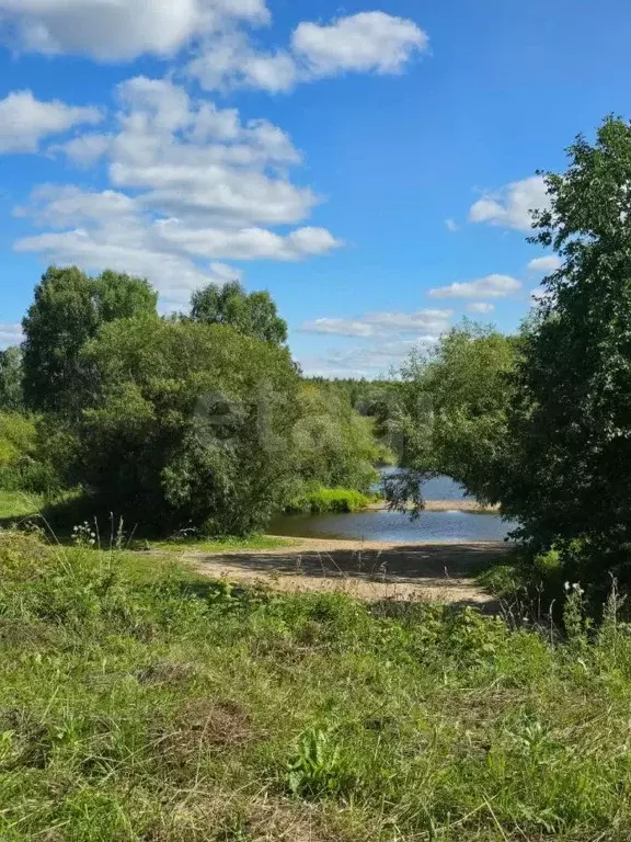 Участок в Свердловская область, Староуткинск муниципальный округ, д. ... - Фото 1