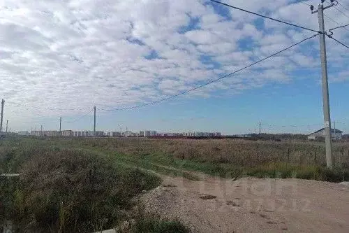 Участок в Новгородская область, Новгородский район, Савинское с/пос, ... - Фото 1