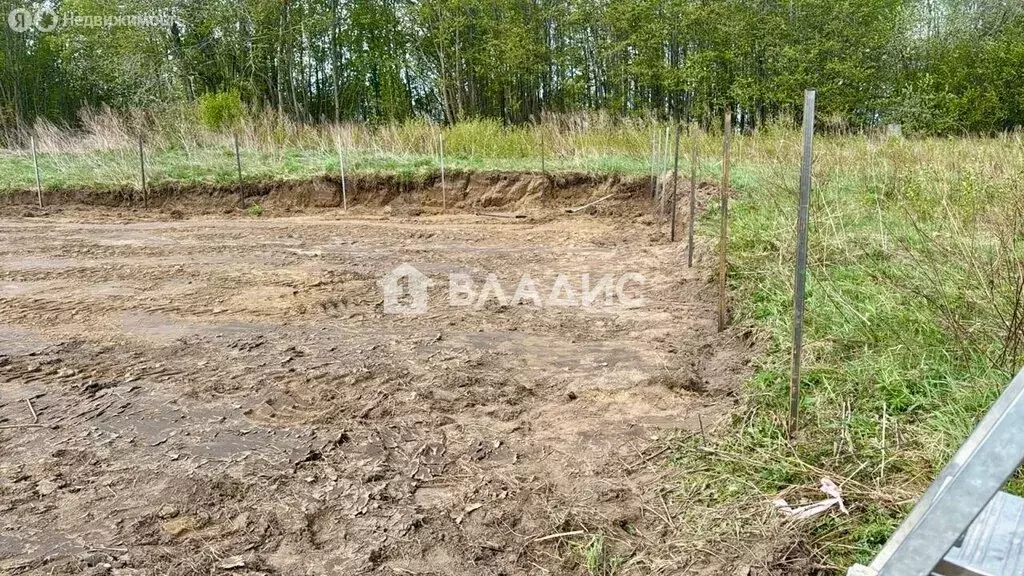 Участок в Калининградская область, Зеленоградский муниципальный округ, ... - Фото 1