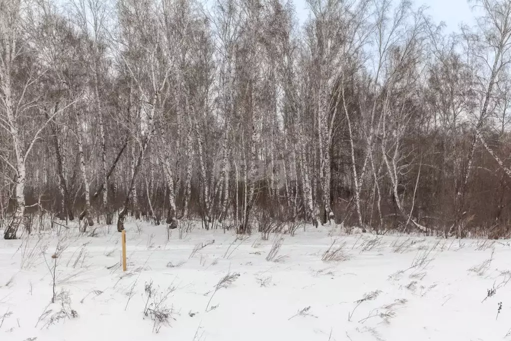 Участок в Алтайский край, Барнаул Восточная ул., 71 (8.3 сот.) - Фото 0