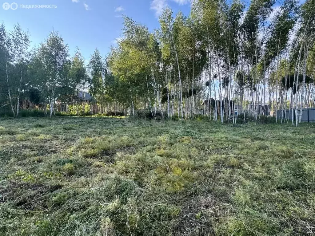 Участок в Афанасово, 3 (6 м) - Фото 1