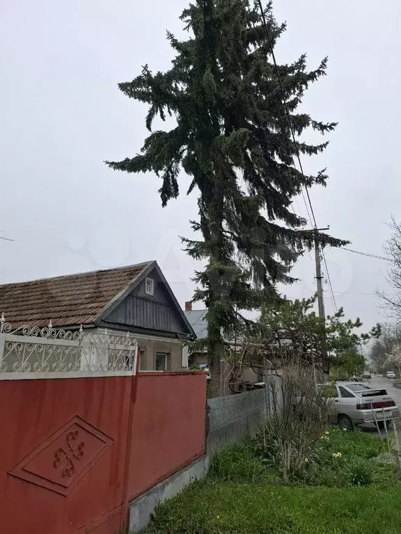 Участок 11 сот. (ИЖС) - Фото 0