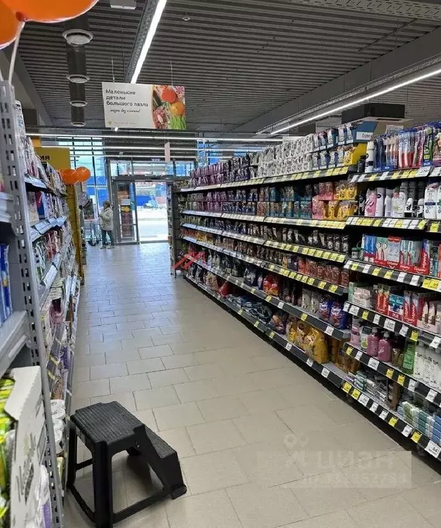 Торговая площадь в Московская область, Химки Сходня мкр, ш. ... - Фото 2