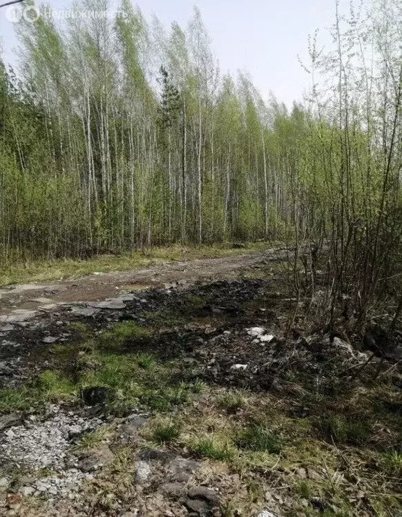 Участок в Медведевский район, Сидоровское сельское поселение, деревня ... - Фото 0
