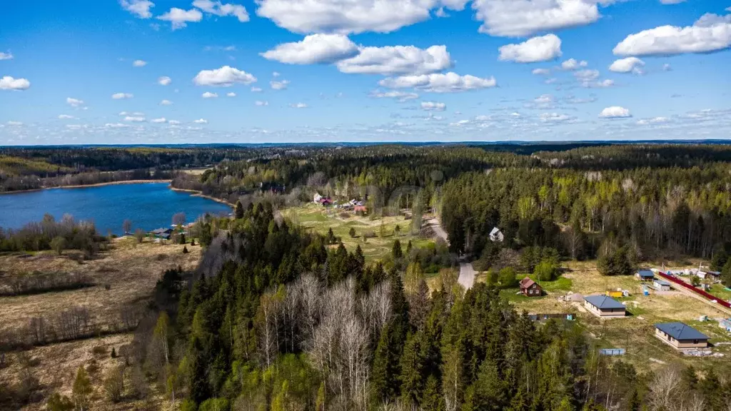 Участок в Ленинградская область, Выборгский район, Каменногорское ... - Фото 1