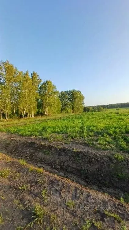 Участок в Иркутская область, Иркутский муниципальный округ, Вдовина ... - Фото 2