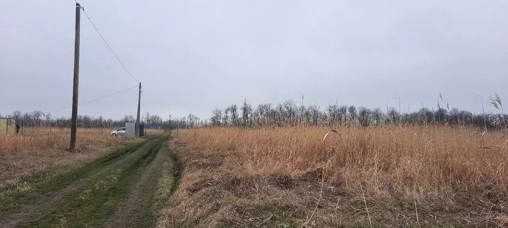Участок в Краснодарский край, Краснодар городской округ, Ленина хут.  ... - Фото 1